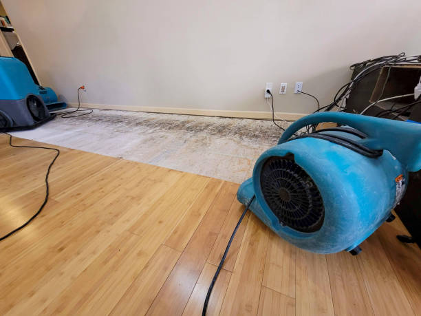 Professional Water Damage Repair technician working in Clearlake, CA